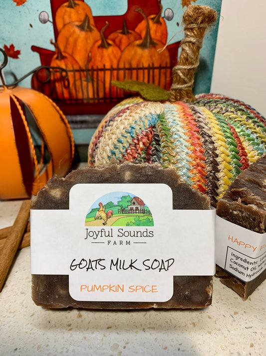 PUMPKIN SPICE Goats Milk Soap, Autumn & Fall scents, artisan soap